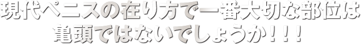 現代ペニスの在り方で一番大切な部位は亀頭ではないでしょうか！！！