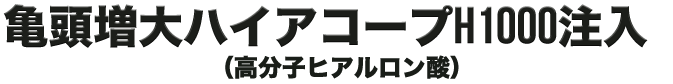 亀頭増大ハイアコープH1000注入